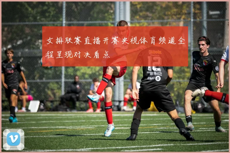 女排联赛直播开赛央视体育频道全程呈现对决看点