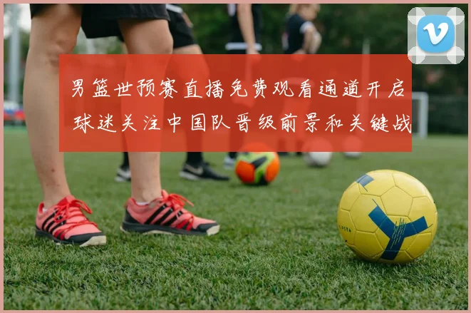 男篮世预赛直播免费观看通道开启 球迷关注中国队晋级前景和关键战况