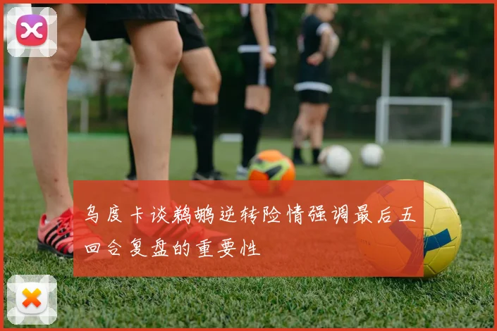 乌度卡谈鹈鹕逆转险情强调最后五回合复盘的重要性