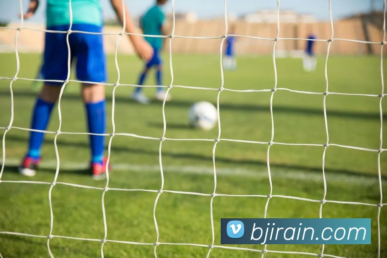 九游官网在线入口品牌故事